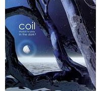 Coil - Musick To Play In The Dark Volume 2 - Vinyle Smoke Noir & Blanc