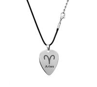 Musiin Guitar Pick Necklace Stainless Steel 12 Constellation Picks Pendant Necklace Music Jewelry for Men Women Gift (Aquarius)