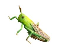 MUSISALY Giocattolo Cavalletta in Plastica Realistica, Figurina Educativa Decorativa in Plastica Sicura, Riproduzione Animale Didattica Resistente e Leggera per Apprendimento Scientifico