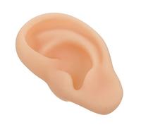 MUSISALY Orecchio in Silicone Per L'insegnamento Struttura Dell'orecchio Medico Stampo Auricolare Sinistro