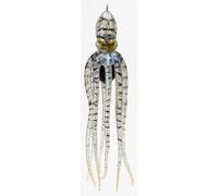 Mustad Octopus Inchiostro Vader / Pesca Esca