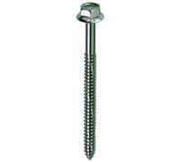 Mustad - Vite Autofilettante Zincata Per Eternit 6,3x20 E-100 Bulloneria-viteria