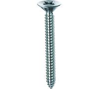 Viti Parker T.S.P. 4,2X38 Zb - 5 Ce