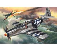 Mustang P-51K