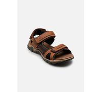 Mustang shoes - 26M0081001 Marrone - Sandali e scarpe aperte 40 Marrone