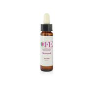 Mustard Cfe Stock Bottle 10ml