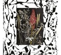 Musto, Luca - Call Me On The Regular