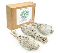 MUT22 3 Torce XL Salvia Bianca Sacra da Bruciare - Erba di Purificazione e Armonia, Salvia Apiana 100% Naturale, Ideale per la Pulizia Spirituale e i Rituali Energetici