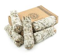 MUT22 5 Salvia Bianca 10 cm Sacra da Bruciare, Erba di Purificazione e Armonia, Salvia Apiana 100% Naturale, Ideale per la Pulizia Spirituale e i Rituali Energetici