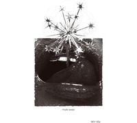 Mute Swan Skin Slip (Vinyl LP) 12" Album