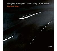 Wolfgang Muthspiel Angular Blues (Vinyl LP) 12" Album