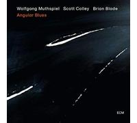 Wolfgang Muthspiel Angular Blues (CD) Album (Jewel Case)