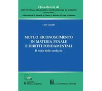 Mutuo riconoscimento in materia penale e diritti fondamentali. Il nodo delle confische