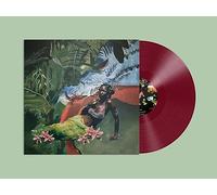 align with nature's intelligence (red vinyl)