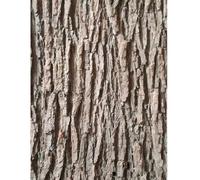 Muzrunq Corteccia Artificiale di Albero, Corteccia Finta per pilastri, Tubi, Decorazioni, 19, 69x39, 37 Pollici, di Albero Finta tagliabile per colonne, pareti, Pavimenti, Decorazioni per Alberi