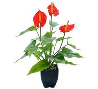 Muzrunq Fiori Artificiali di Calla, Fiori di Calla Finti in Lattice realistici, pianta in Vaso Floreale al Tatto Reale per Esterni, Interni, Giardino, Patio, Decorazione per la casa