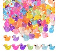 Muzrunq Glow in The Dark Ducks, 100 Pezzi Mini Animali in Resina Mini Anapestri Impermeabili per Giardino Giardino da di Pesce Piante Vaso Vaso di Micro Accessori