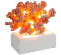 Muzrunq Lampada di corallo Resina Decorazione corallina Realistic Coral Night Light Desk Ornaments Coral Statue Scantina Lampada per arredamento per l'ufficio Home Office senza batteria gialla
