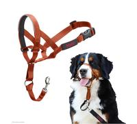 Muzzle Company Of Animals Burnt Orange 4 NUOVO