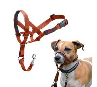 Muzzle Company Of Animals Burnt Orange Size 1 NUOVO