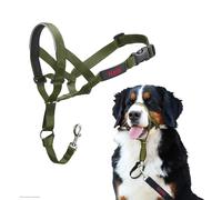 Muzzle Company Of Animals Forest Green 4 NUOVO