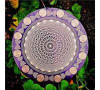 MWO Polarizing Disk, MWO Disk EMFS Polarizing Disk, Multi-Wave Oscillator Coil, 0.06" Thickness, Φ12.8cm Energy Color, Water Energization & Harmonic Balancing, For Meditation(C)