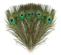 Mwoot 15 pezzi Naturali Piume di Pavone Pavone Piume di Coda, per i monili Domestici della Decorazione di DIY Carnevale di Venezia tutti i festival Halloween artigianato forniture (28-32CM)