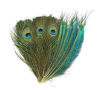 MWOOT 30 Pezzi Piume di Pavone Decorative, Piume Naturali Verdi, Piume DIY Carnevale Partito Costume da Mascherata Accessori per Capelli Vintage Decorazione, 25-30CM Piume Decorative Lunghe