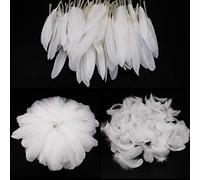 MWOOT Piume Bianco, 250 Pezzi di Piume Bianche Naturali, per Le Feste di Compleanno e Matrimonio Costume, DIY Dream Catchers Orecchini Craft Centrotavola
