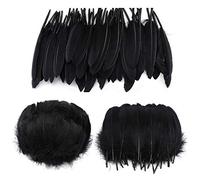 MWOOT Piume Nero, 250 Pezzi di Piume Nero Naturali, per Le Feste di Compleanno e Matrimonio Costume, DIY Dream Catchers Orecchini Craft Centrotavola