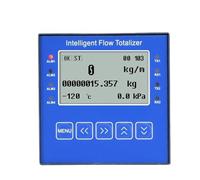 mXCDtRptJ Totalizzatore misuratore indicatore di Flusso con Display e Uscita Segnale 4~20 mA(Basic-U)