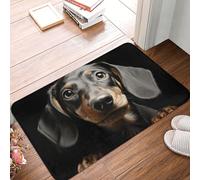 MXDLKSWPOH Zerbino di benvenuto a basso profilo, antiscivolo, lavabile, zerbino per porta d'ingresso, tappetino per bassotto, tappetino da bagno, per interni ed esterni, per corridoio, casa, ufficio