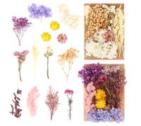 MXTIMWAN 2 Borse Fiori Secchi Naturali, Fiori Secchi Decorativi, Veri, Fiori Secchi Artigianato per Resina Epossidica, Scrapbooking, Crafts, Nail Art, DIY Gioielli