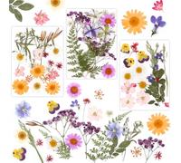 MXTIMWAN Fiori Secchi Decorativi 66 Pz,Flowers Naturali Misti Set,Naturali Pressati Fiori Pressati Secchi,Fiori Pressati Secchi Per candele fai da te,resina,scrapbooking,artigianato e decorazioni