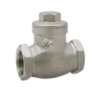 MXXDMOPD Valvola di ritegno a Molla in Linea a Femmina Non Ritorno unidirezionale a 2 Pezzi DN6/DN10/DN15/DN20/DN25(C,DN25)