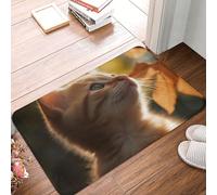 MXZERFKGLA Zerbino antiscivolo per porta di ingresso, 60 x 40 cm, per esterni, per interni, per ingresso, gatto, sotto le foglie, assorbente, lavabile, per corridoio, esterno, patio, portico