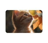 MXZERFKGLA Zerbino antiscivolo per porta di ingresso, 80 x 48 cm, per esterni, per interni, per ingresso, gatto, sotto le foglie, assorbente, lavabile, per corridoio, esterno, patio, portico