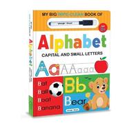 My Big Wipe And Clean Book of Alphabet Capital And Small Lett (Libro di cartone)
