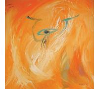 My Cat Is An Alien & - Union Of The Supreme Light