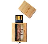 My Custom Style PenDrive USB legno4,5x2,5x0,8cm#arte-Quarto stato, Pellizza da Volpedo#32Gb