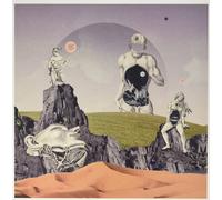 My Expansive Awareness Going Nowhere (Vinyl LP)