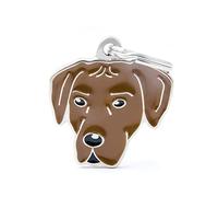 My Family Medaglietta per Cane Personalizzata, A Forma di Rhodesian Ridgeback, Targhetta Cane con Incisione Gratis, Smaltata a Mano in Metallo, Collezione Friends