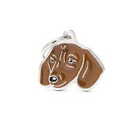 My Family Medaglietta per Cane Personalizzata Made in Italy, Bassotto Fulvo, Targhetta Cane con Incisione Gratis, Smaltata a Mano in Metallo, Collezione Friends, 29x26 mm