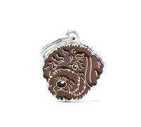 My Family Medaglietta per Cane Personalizzata Made in Italy, Lagotto Romagnolo Marrone, Targhetta Cane con Incisione Gratis, Smaltata a Mano in Metallo, Collezione Friends, 27x30 mm