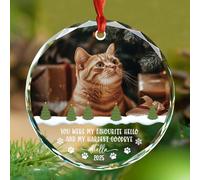 My Favorite Hello and Hardest Goodbye Ornamento in vetro regalo per la perdita di animali domestici, personalizzato Pet Dog Cat Memorial Christmas Photo Ornament 2025, Immagine personalizzata Nome