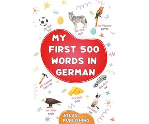 My first 500 words in German: An English-German bilingual visual dictionary with illustrated words on everyday themes - A picture book to learn German for kids, teens, and beginner adults