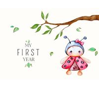 My First Year: A Little Memory Book for the Most Important Moments of Baby’s First Year: Simple, easy-to-fill pages to capture memories that will last a lifetime.
