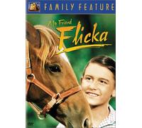 My Friend Flicka