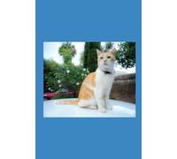 MY FRIENDS CATS: Stories on cats I have met