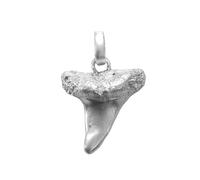 My Gold - Ciondolo da donna e da uomo, con dente di squalo, in argento Sterling 925, massiccio, 22 mm x 17 mm, Shark Silver A-06229-S911